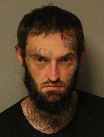 Photo of offender