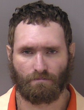 Photo of offender