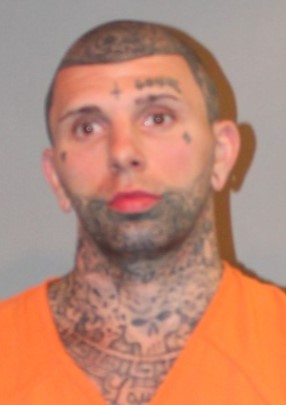 Photo of offender